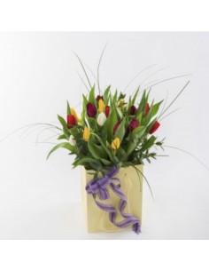 Tulip Frenzy - Vibrant (inc...