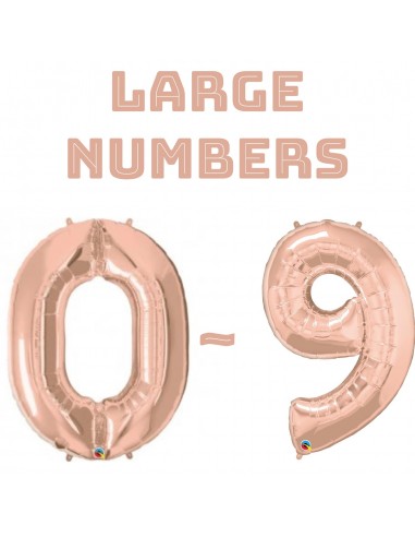 Large Rose Gold numbers 0-9