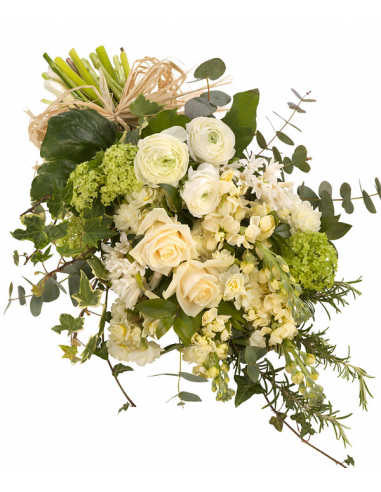 Open Spray - Gardeners Beauty