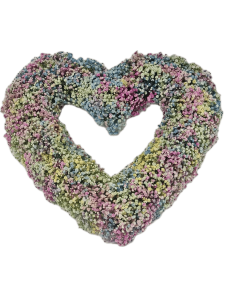 Open Heart - Gypsophilia