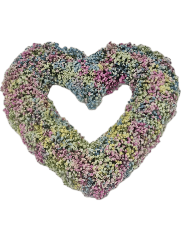 Open Heart - Gypsophilia